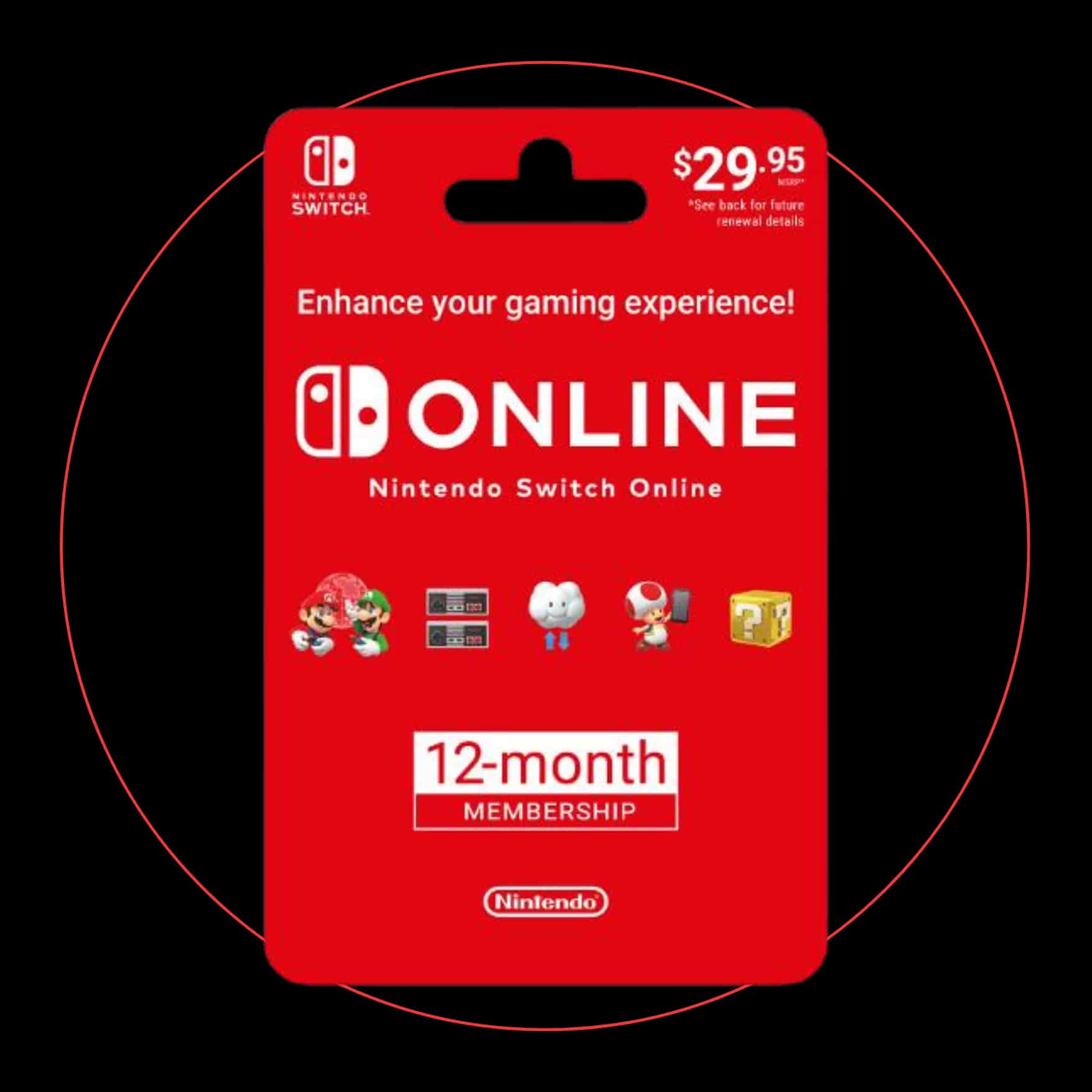 Nintendo Switch Online 12 Month Card