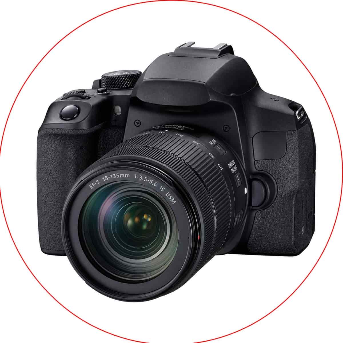 Canon EOS 850D with EF-S 18-135mm f/3.5-5.6 IS USM Lens