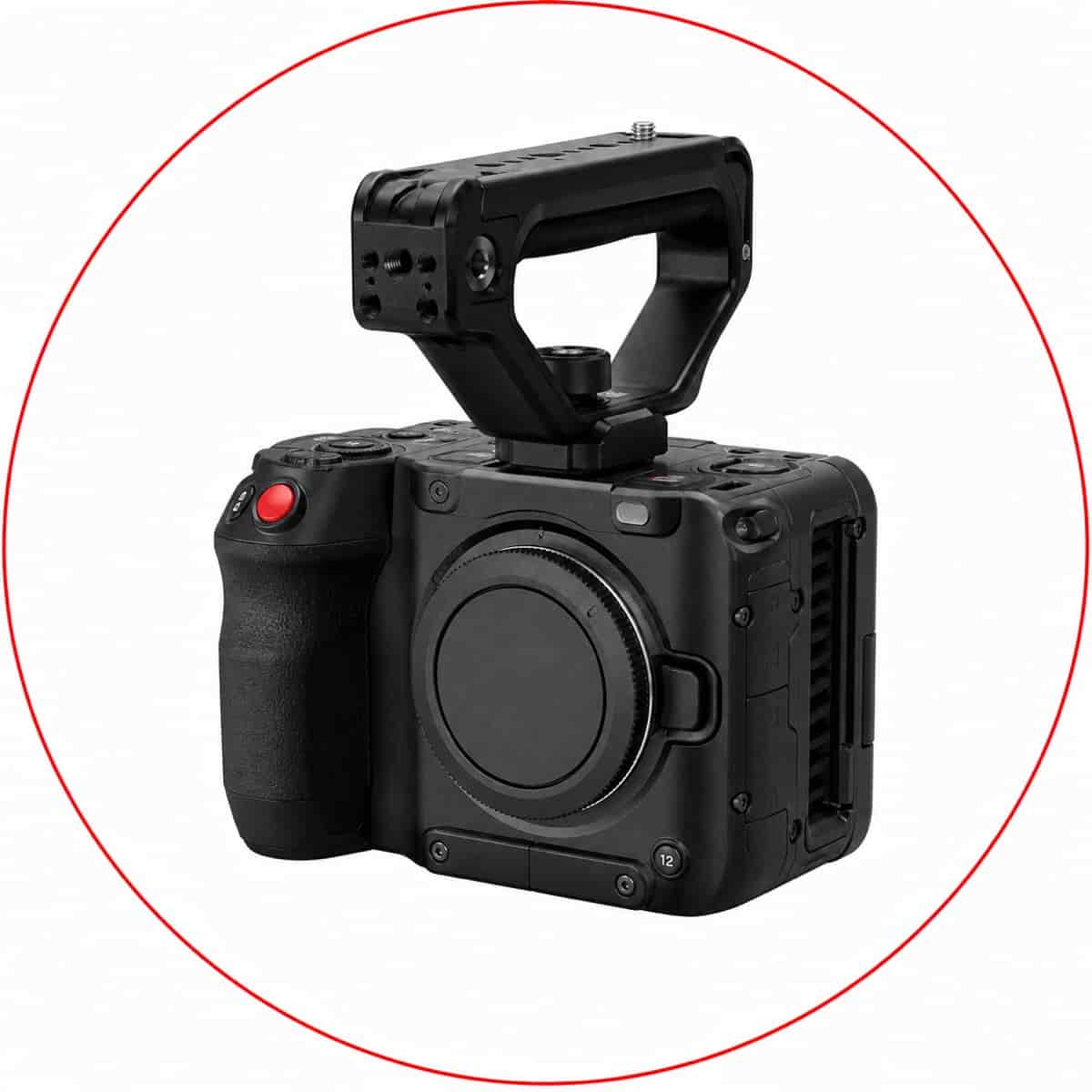 Canon EOS C50 Full-Frame Cinema Camera (RF Mount)