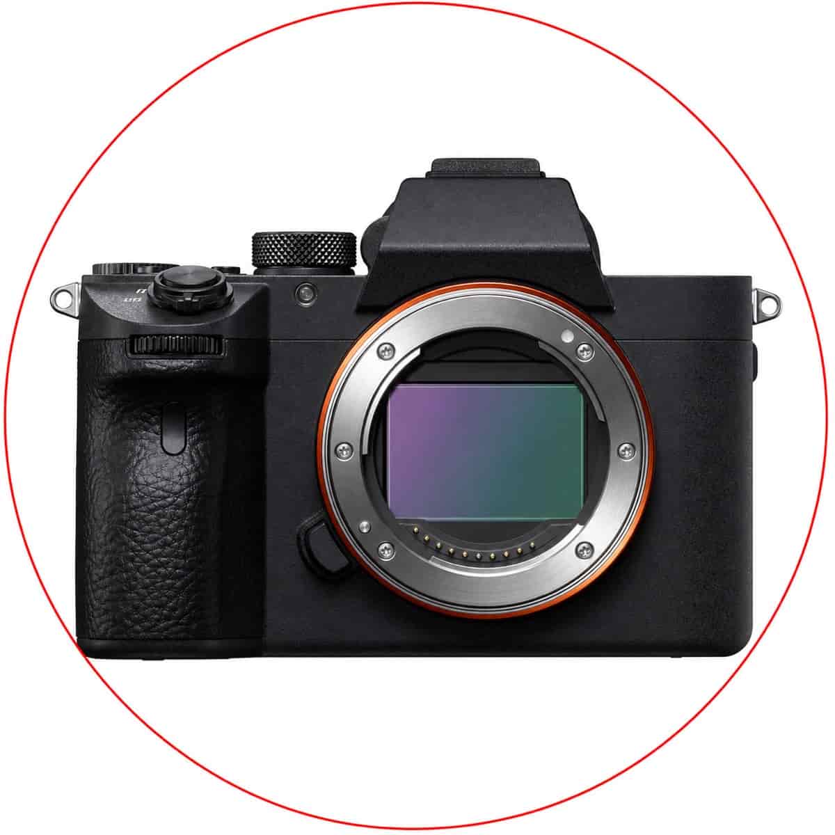 Sony Alpha a7 III Mirrorless Camera Body