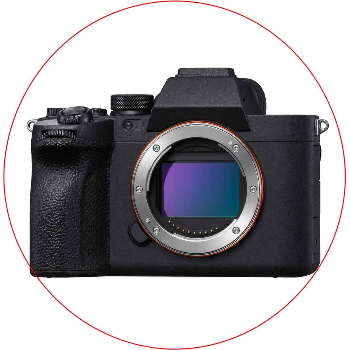 Sony Alpha a7S III Mirrorless Camera Body