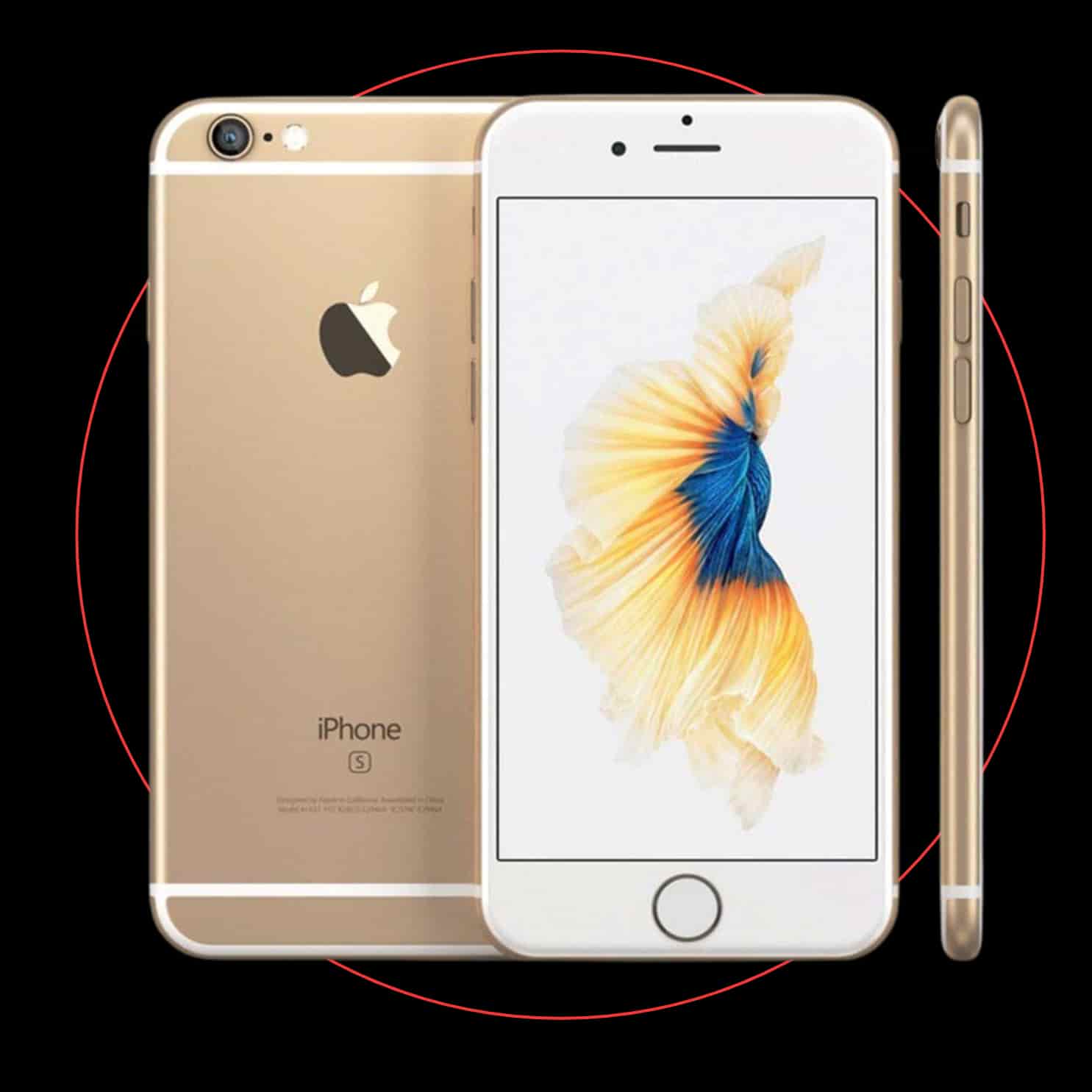iPhone 6s Plus
