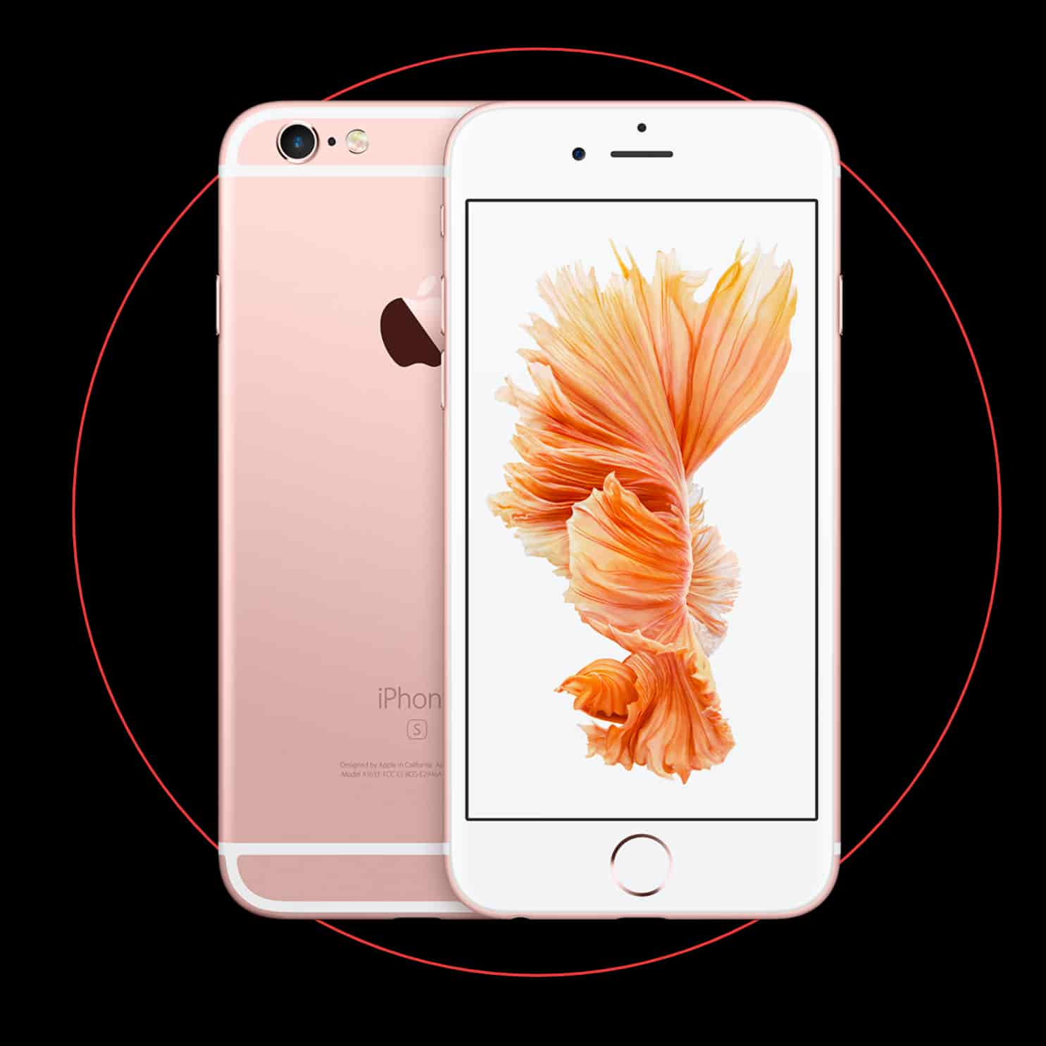 iPhone 6s Plus