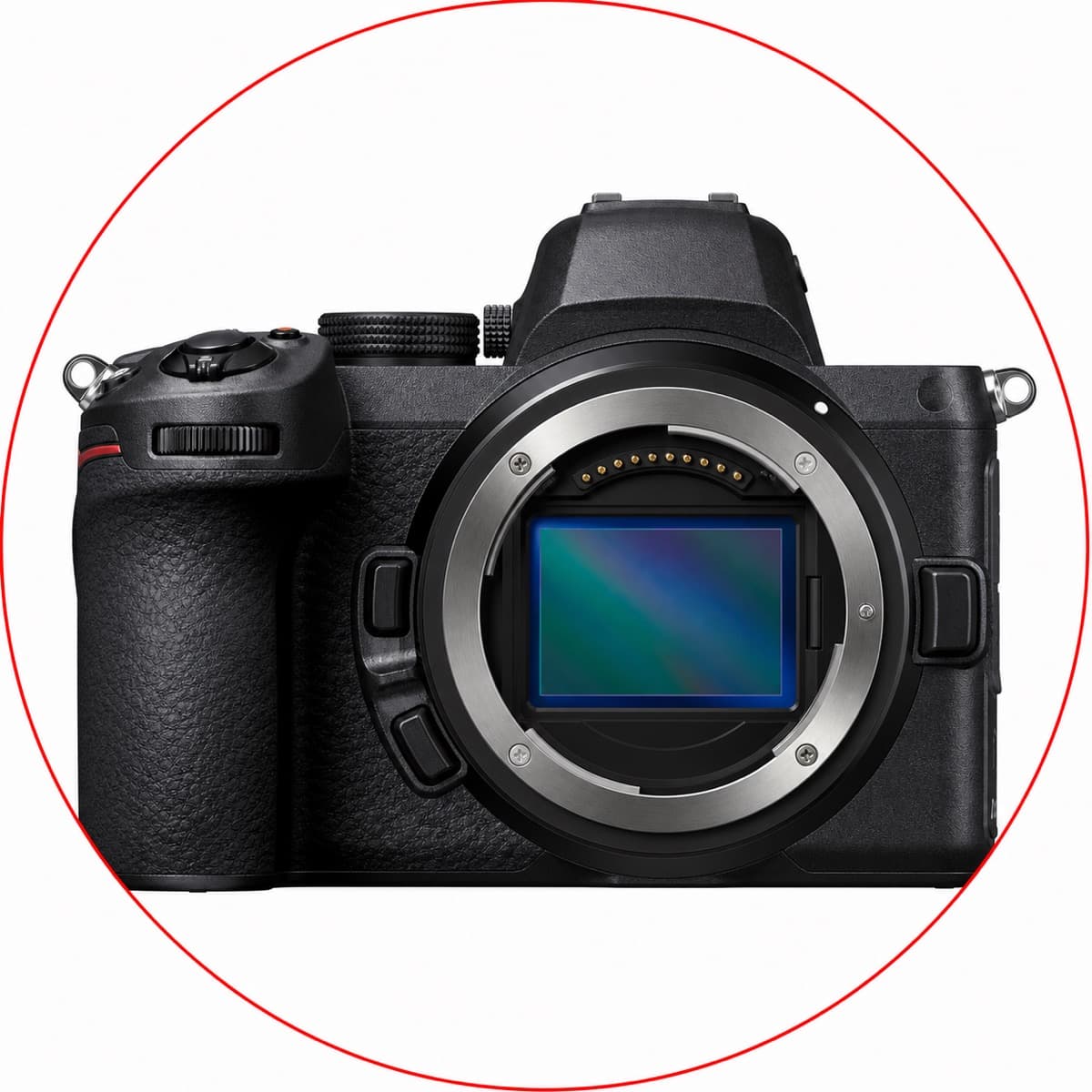 Nikon Z5 Mirrorless Camera Body