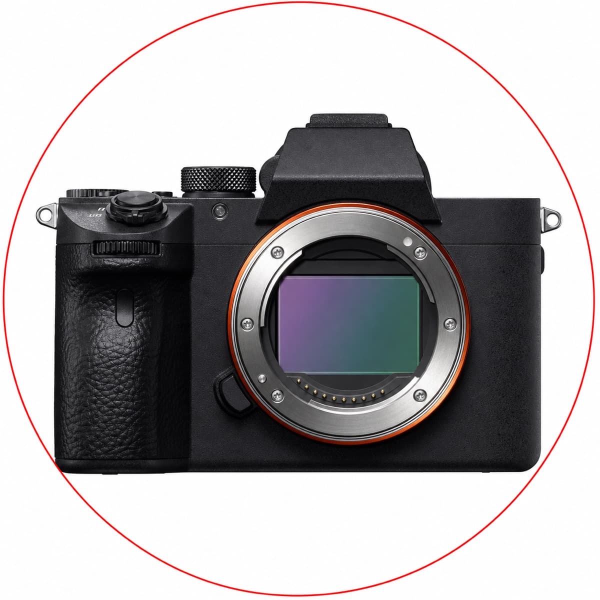 Sony Alpha a7 III Mirrorless Camera Body