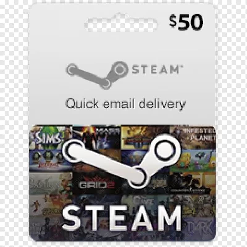 Steam Wallet Gift Card $100